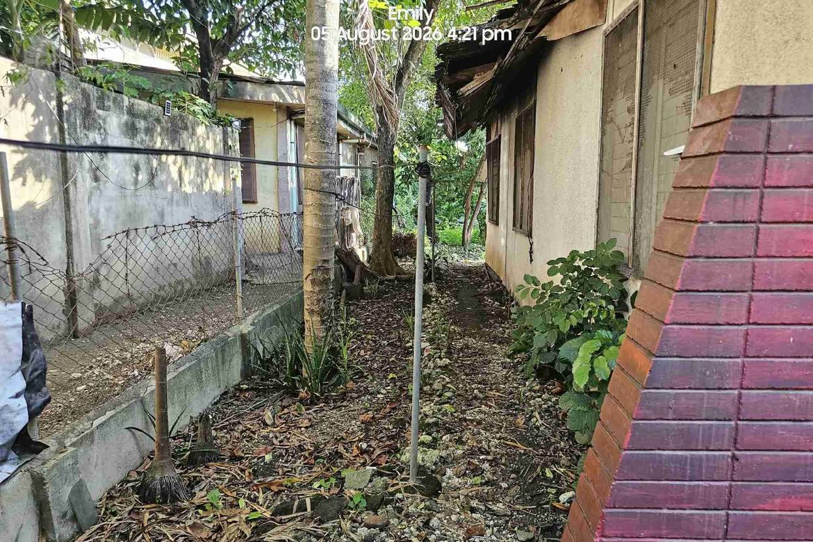 Land for Sale in Pajo, Lapu-Lapu, Cebu – photo 3