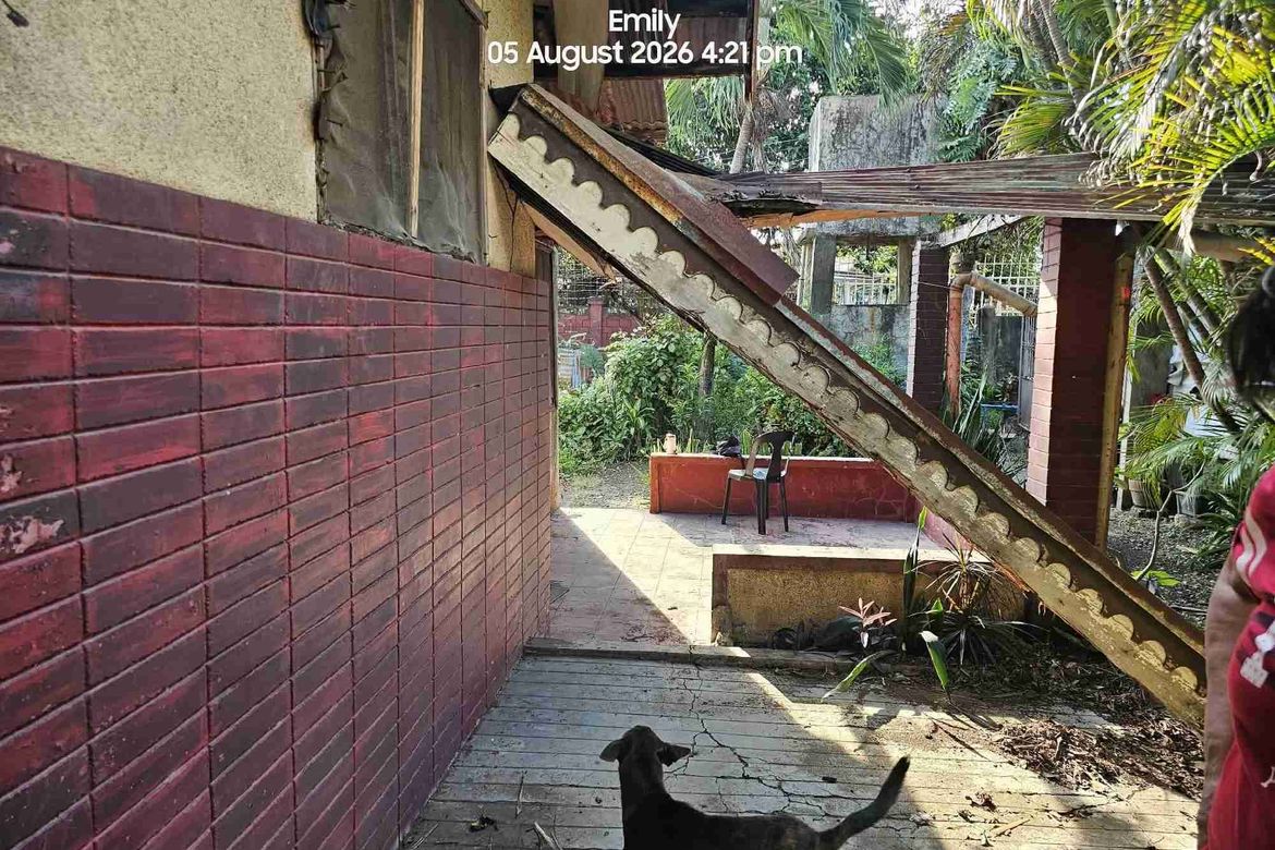 Land for Sale in Pajo, Lapu-Lapu, Cebu – photo 4