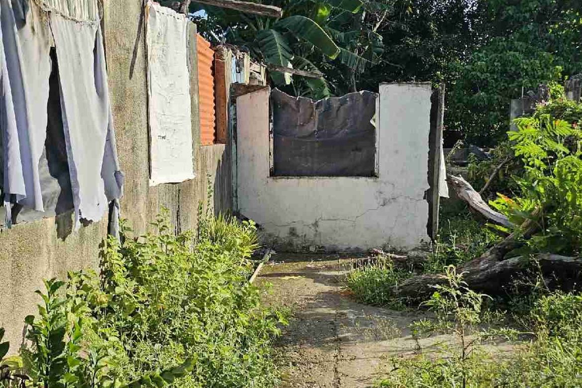 Land for Sale in Pajo, Lapu-Lapu, Cebu – photo 5