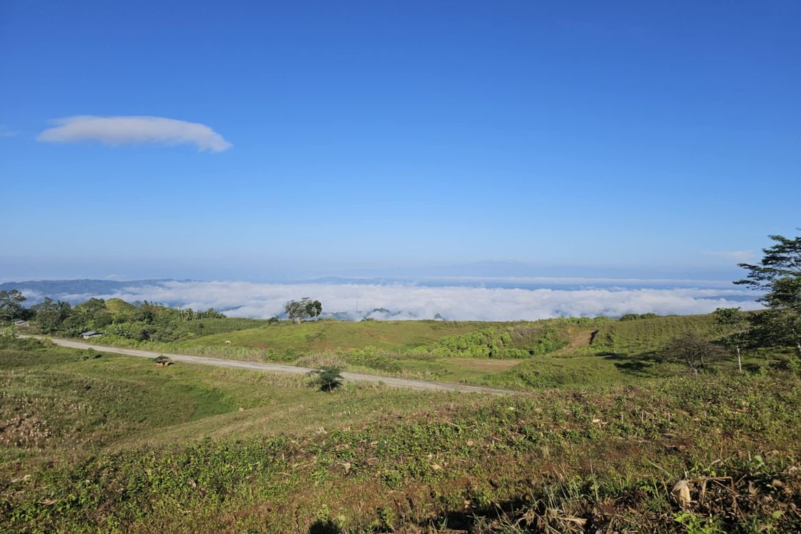 Land for Sale in Palacapao, Quezon, Bukidnon – photo 4