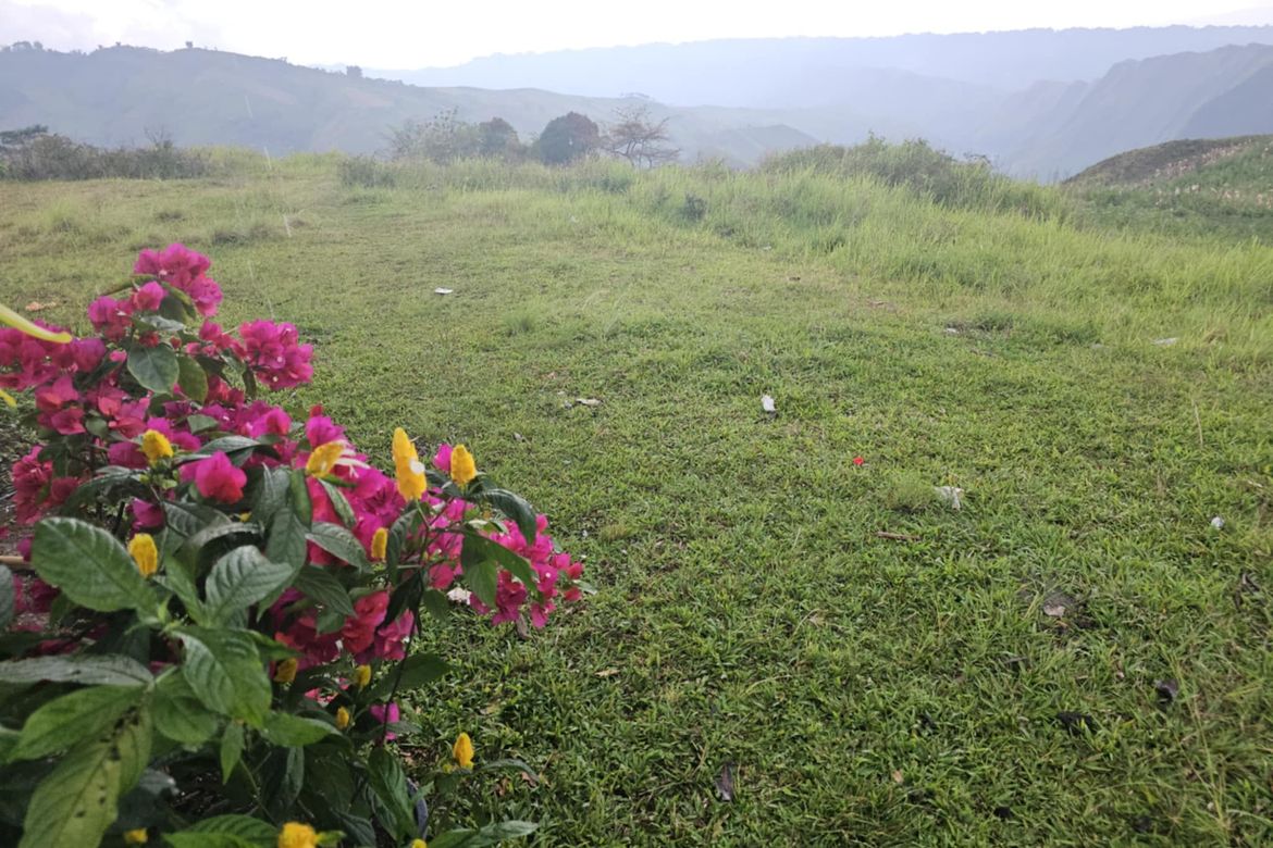 Land for Sale in Palacapao, Quezon, Bukidnon – photo 8