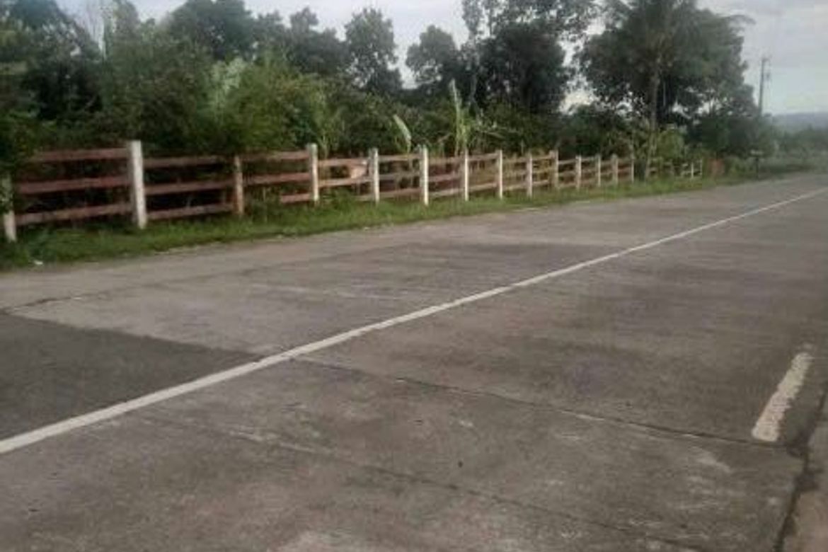 Land for Sale in Palampas, San Carlos, Negros Occidental – photo 2