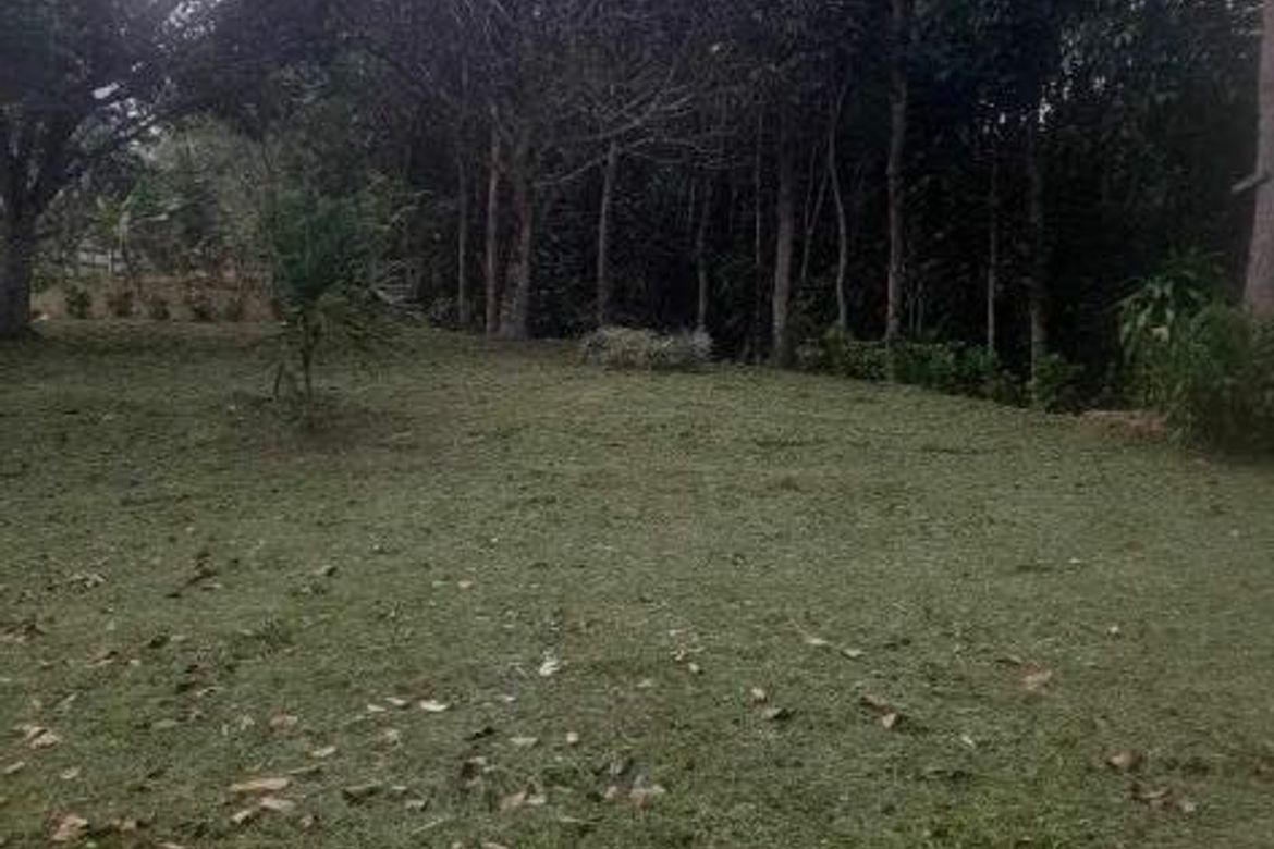 Land for Sale in Palampas, San Carlos, Negros Occidental – photo 3