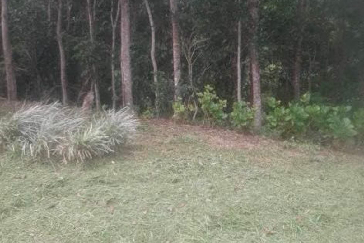 Land for Sale in Palampas, San Carlos, Negros Occidental – photo 4