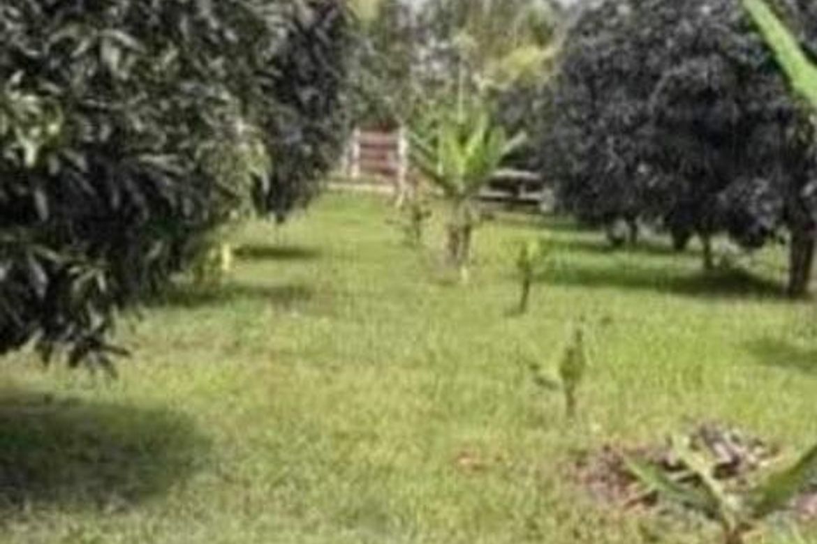 Land for Sale in Palampas, San Carlos, Negros Occidental – photo 7