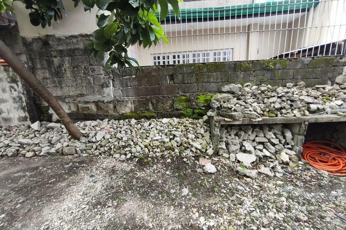 Land for Sale in Palanan, Makati, Metro Manila – photo 3