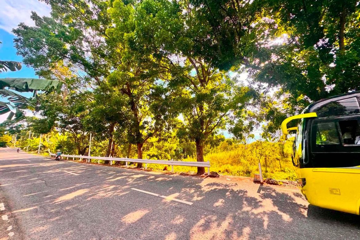 Land for Sale in Palanas, Alcantara, Cebu – photo 2