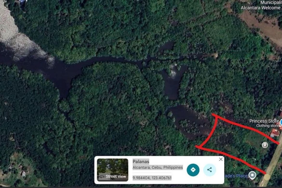 Land for Sale in Palanas, Alcantara, Cebu – photo 4
