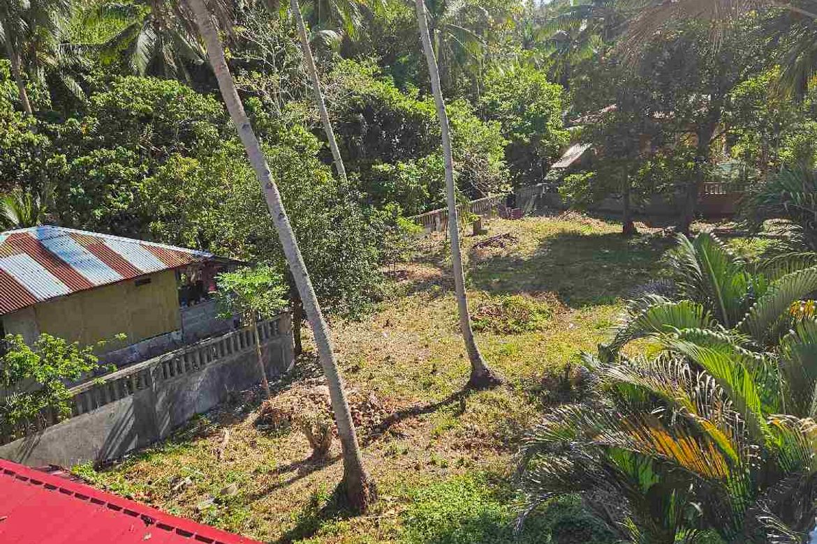 Land for Sale in Palangan, Puerto Galera, Oriental Mindoro – photo 2