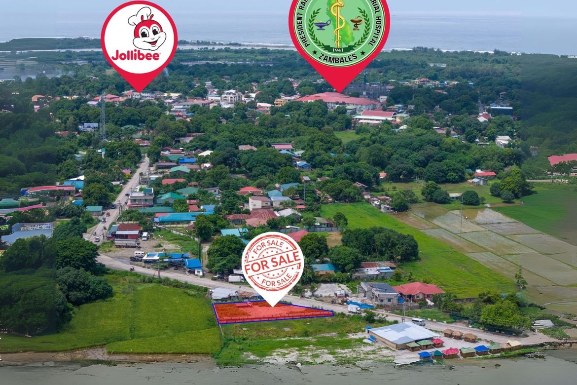 Land for Sale in Palanginan, Iba, Zambales – photo 3