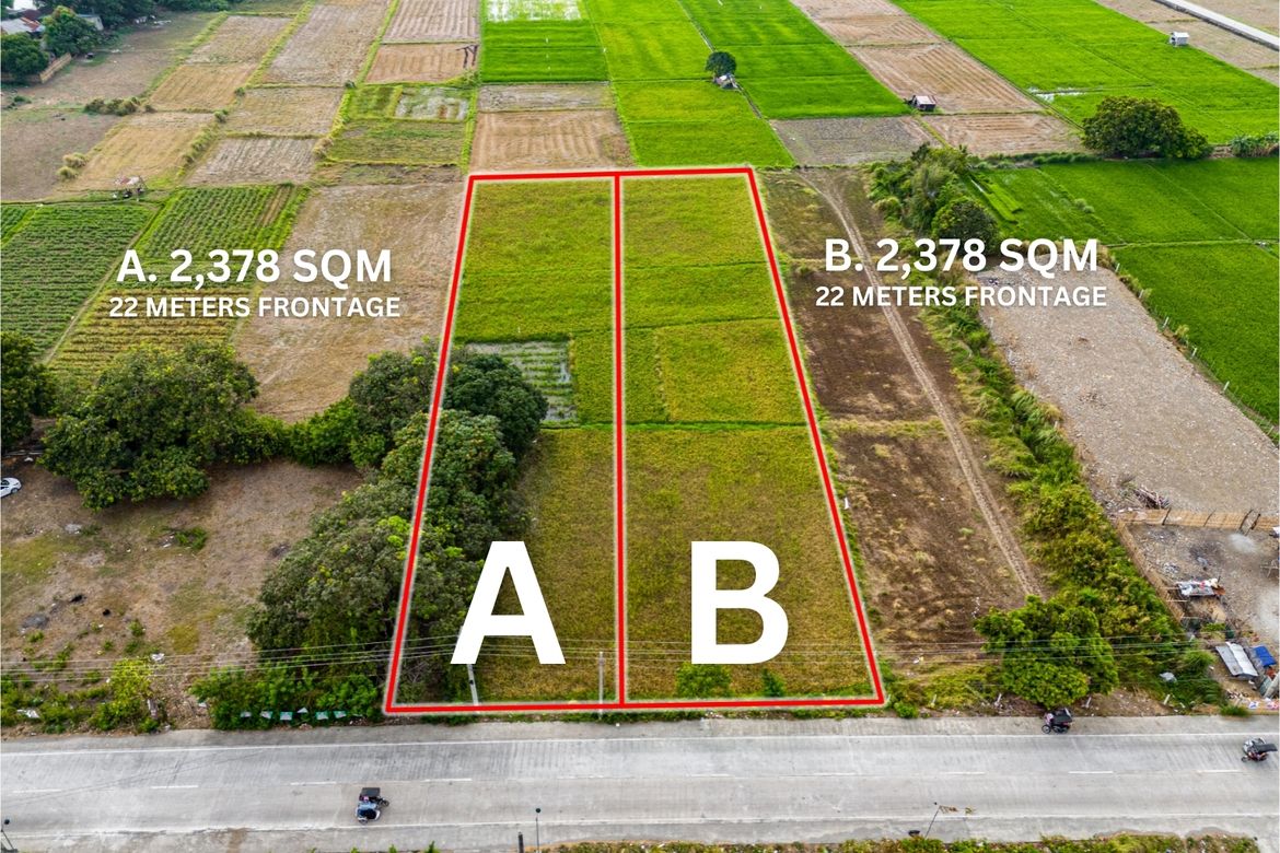 Land for Sale in Palanginan, Iba, Zambales – photo 3