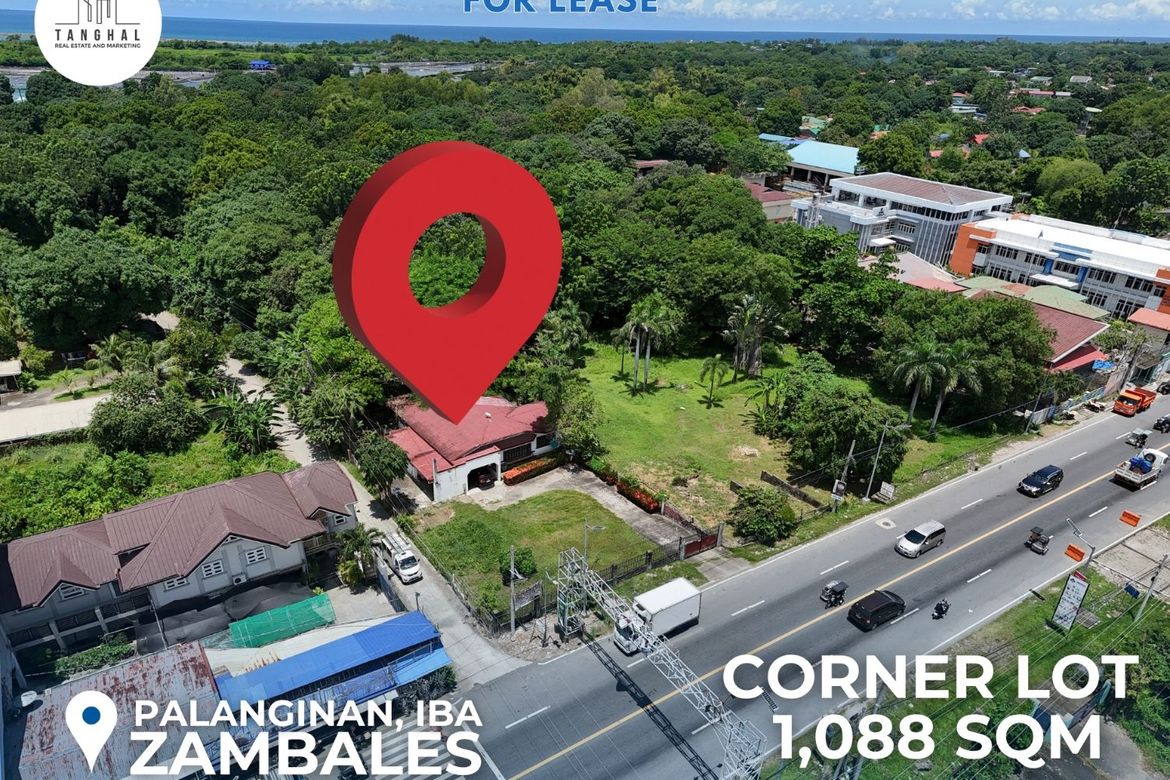 Land for Sale in Palanginan, Iba, Zambales – photo 3