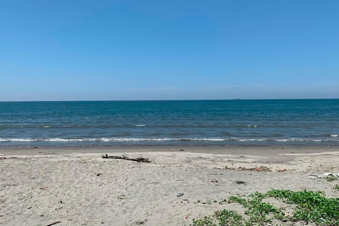 Land for Sale in Palapad, San Fabian, Pangasinan