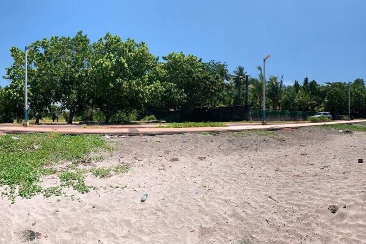 Land for Sale in Palapad, San Fabian, Pangasinan – photo 3