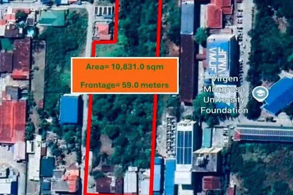 Land for Sale in Palaris, San Carlos, Pangasinan – photo 2