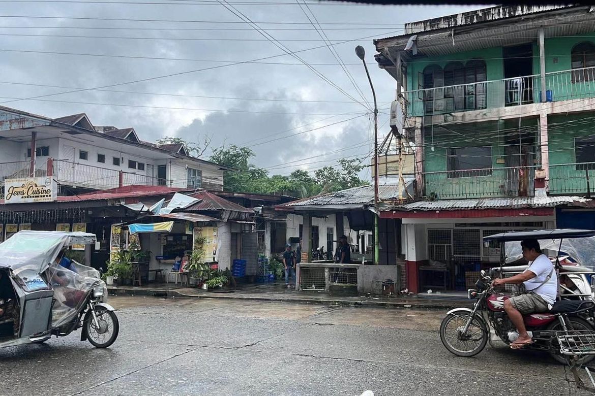 Land for Sale in Palaris, San Carlos, Pangasinan – photo 5