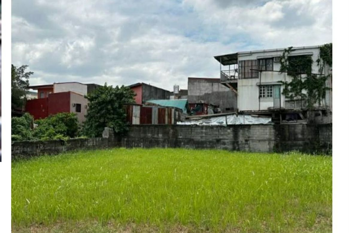 Land for Sale in Palatiw, Pasig, Metro Manila – photo 2
