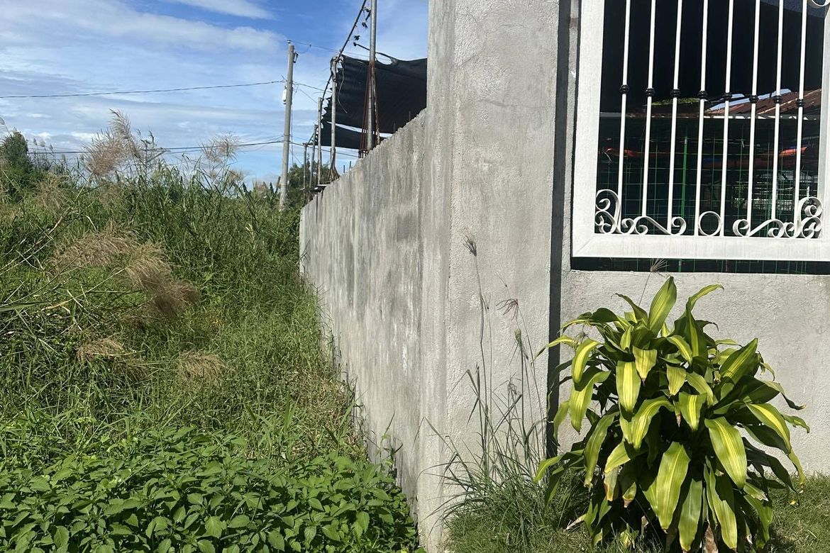 Land for Sale in Paligui, Apalit, Pampanga – photo 5