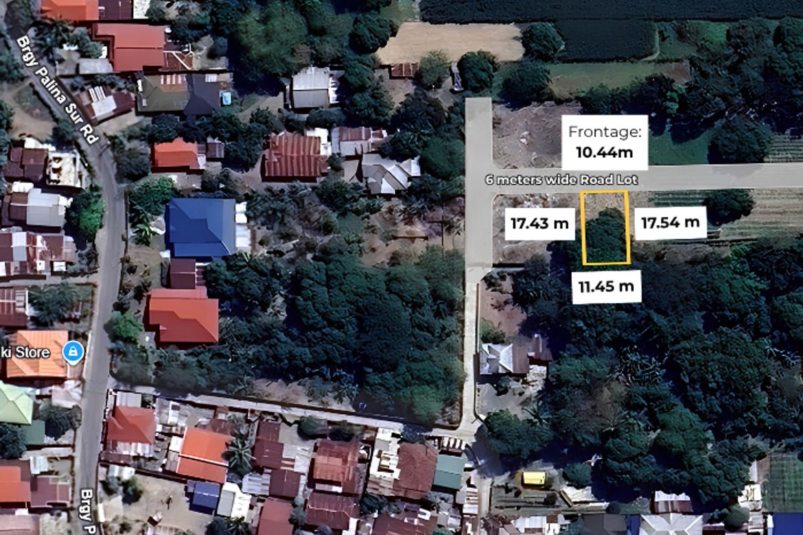 Land for Sale in Palina East, Urdaneta, Pangasinan – photo 5