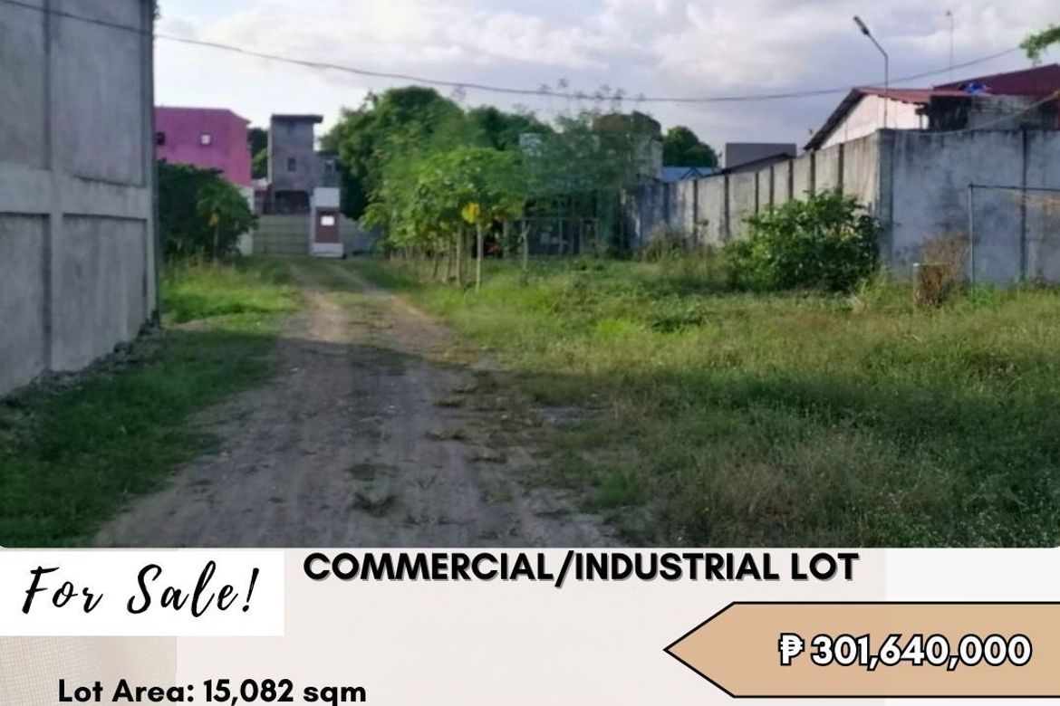 Land for Sale in Palingon, Taguig, Metro Manila