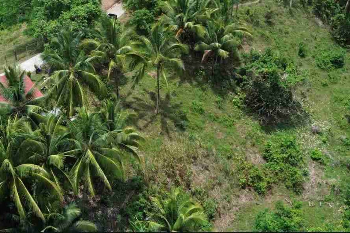Land for Sale in Palinpinon, Valencia, Negros Oriental – photo 2
