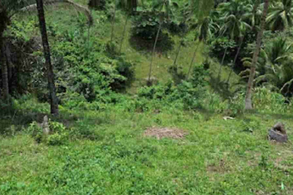 Land for Sale in Palinpinon, Valencia, Negros Oriental – photo 4