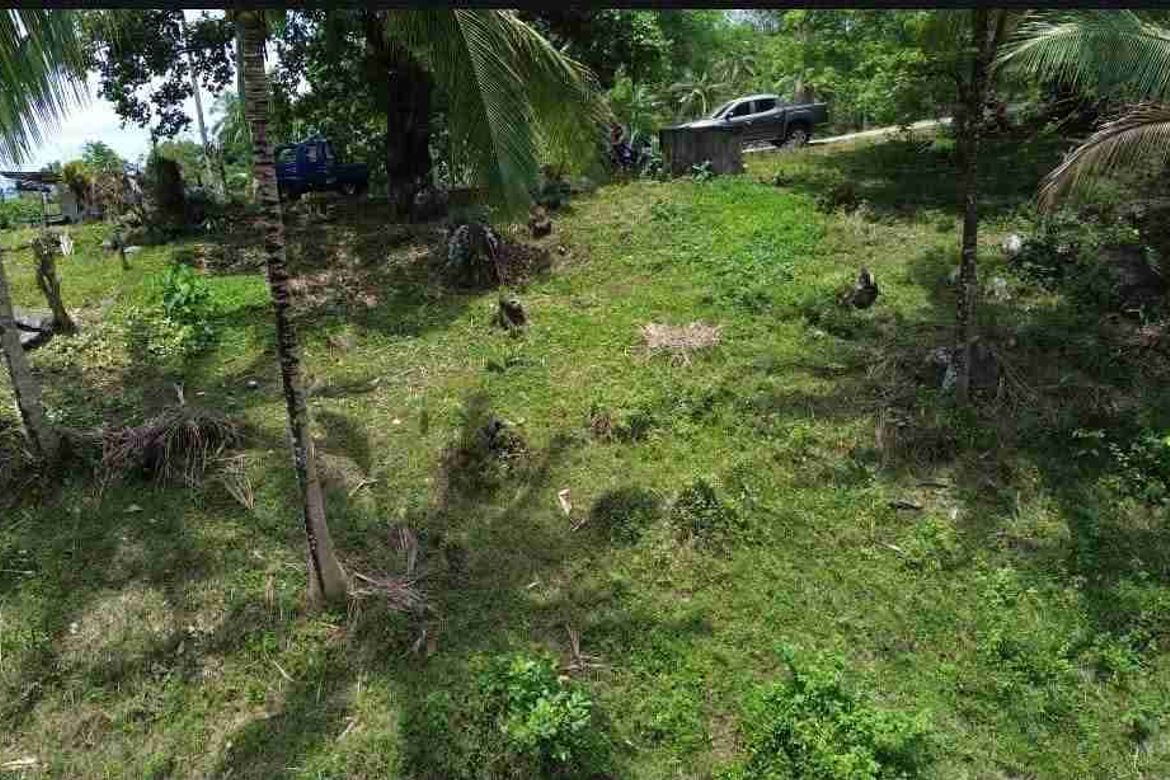 Land for Sale in Palinpinon, Valencia, Negros Oriental – photo 5