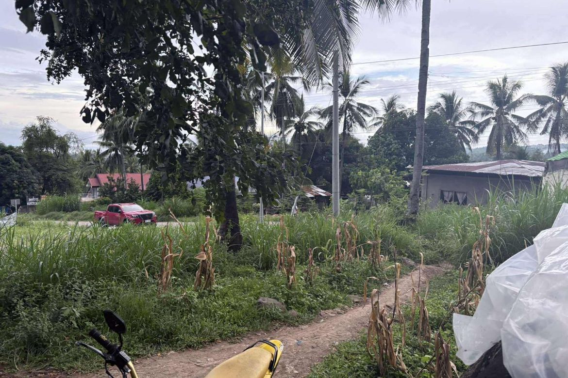 Land for Sale in Palinpinon, Valencia, Negros Oriental – photo 2