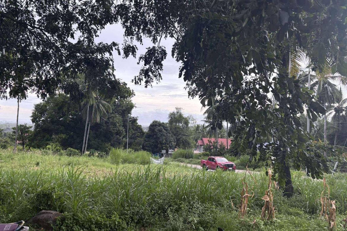 Land for Sale in Palinpinon, Valencia, Negros Oriental – photo 7