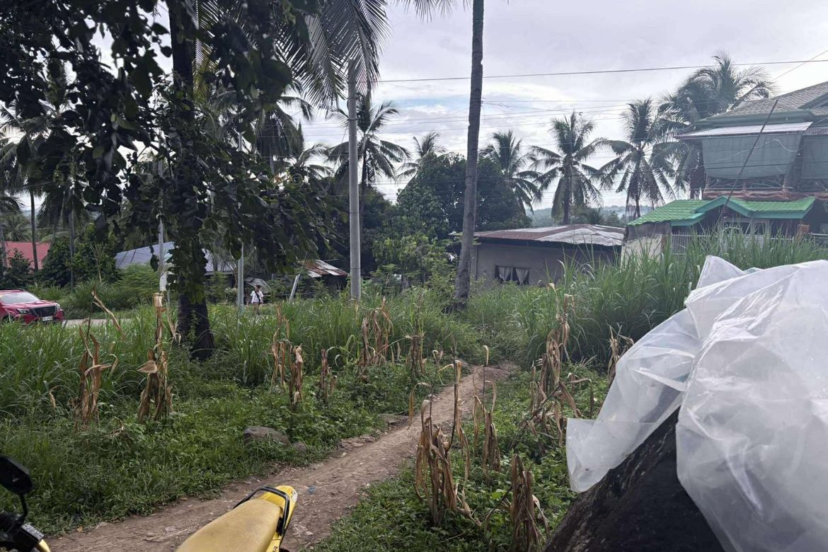 Land for Sale in Palinpinon, Valencia, Negros Oriental – photo 8