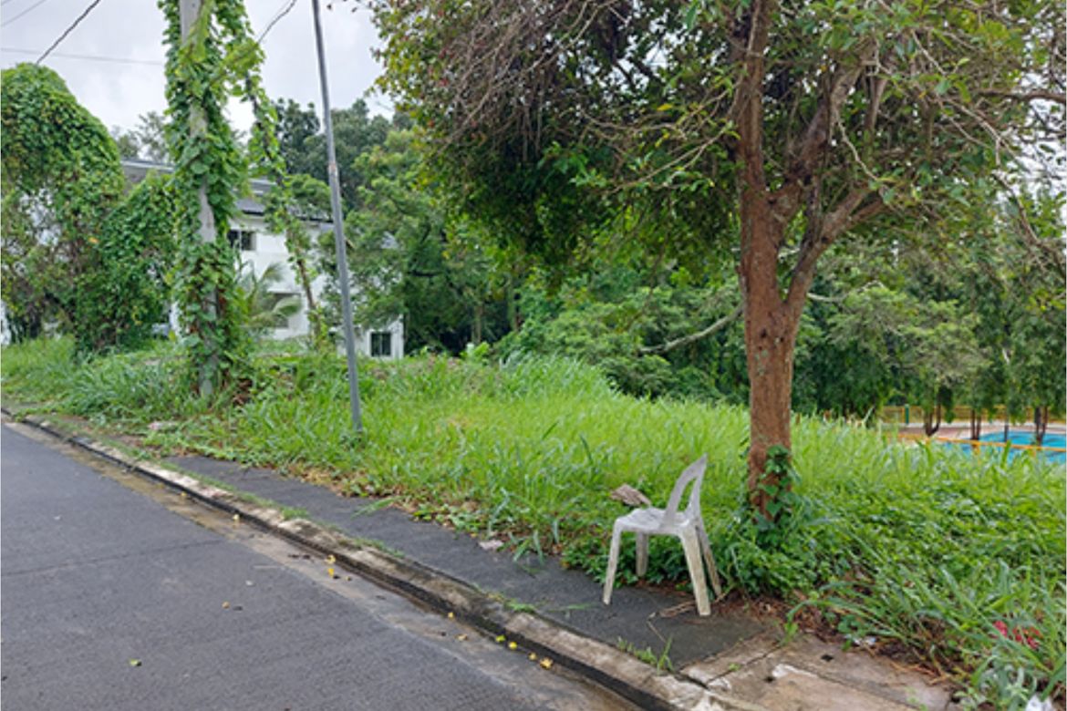 Land for Sale in Paliparan I, Dasmariñas, Cavite – photo 2
