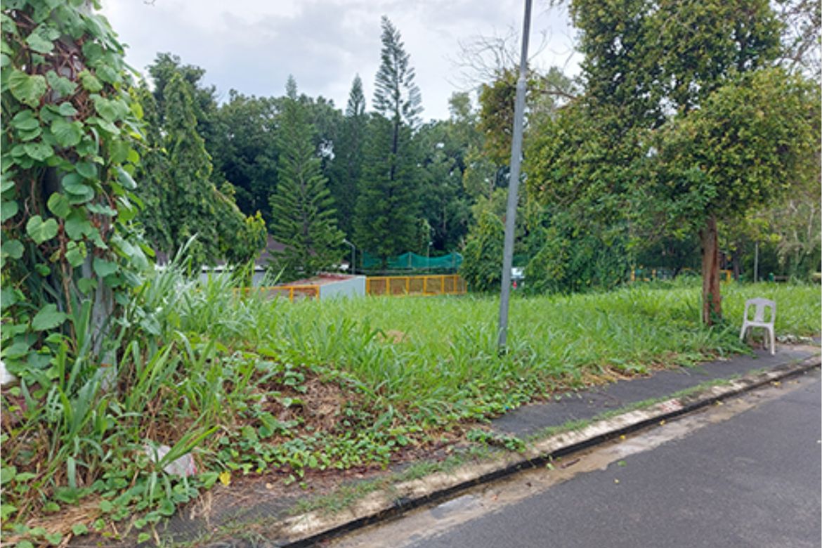 Land for Sale in Paliparan I, Dasmariñas, Cavite – photo 3