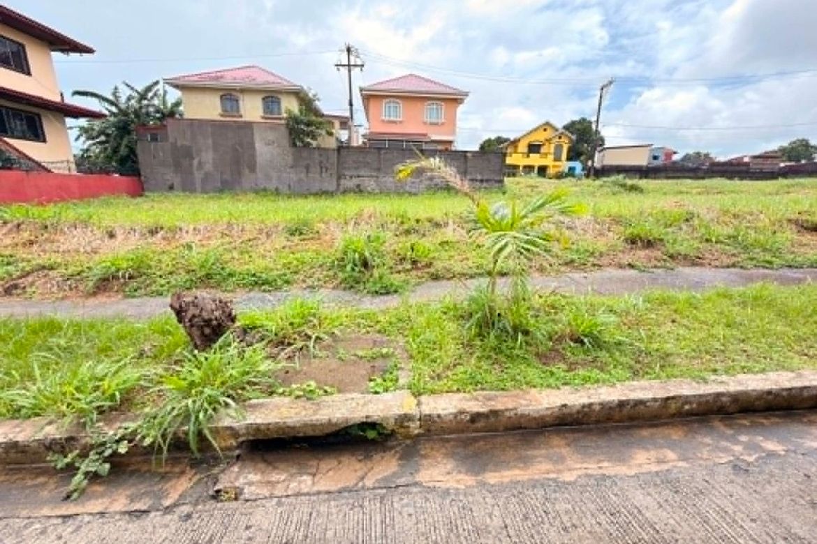 Land for Sale in Paliparan I, Dasmariñas, Cavite – photo 8