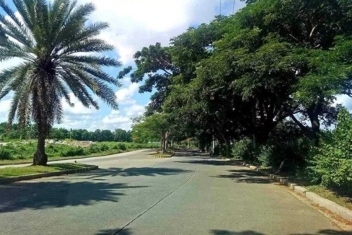 Land for Sale in Paliparan II, Dasmariñas, Cavite – photo 4