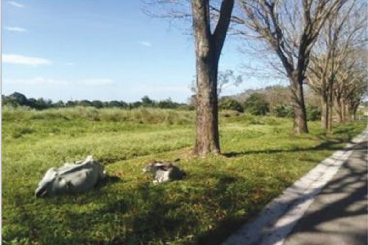 Land for Sale in Paliparan III, Dasmariñas, Cavite – photo 4