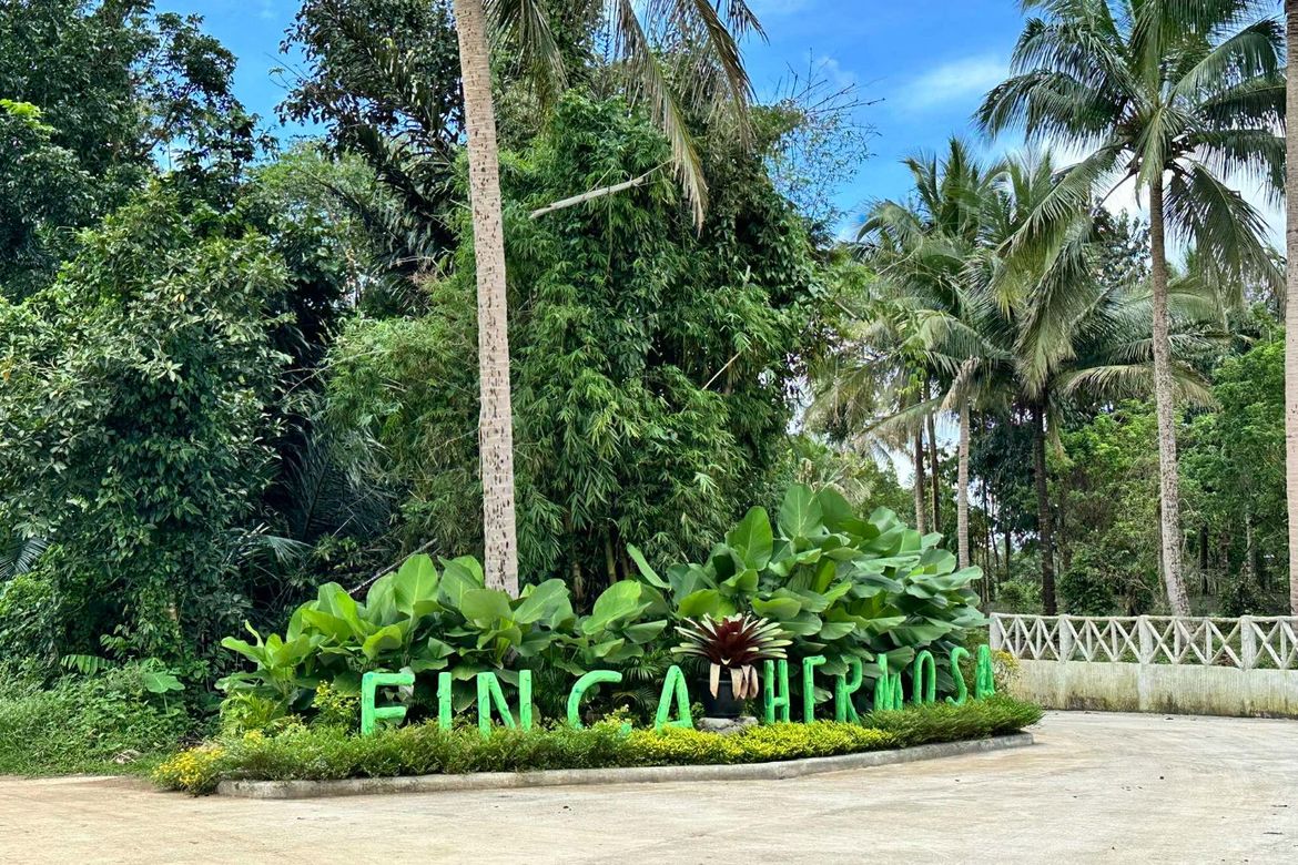 Land for Sale in Paliparan, Laurel, Batangas