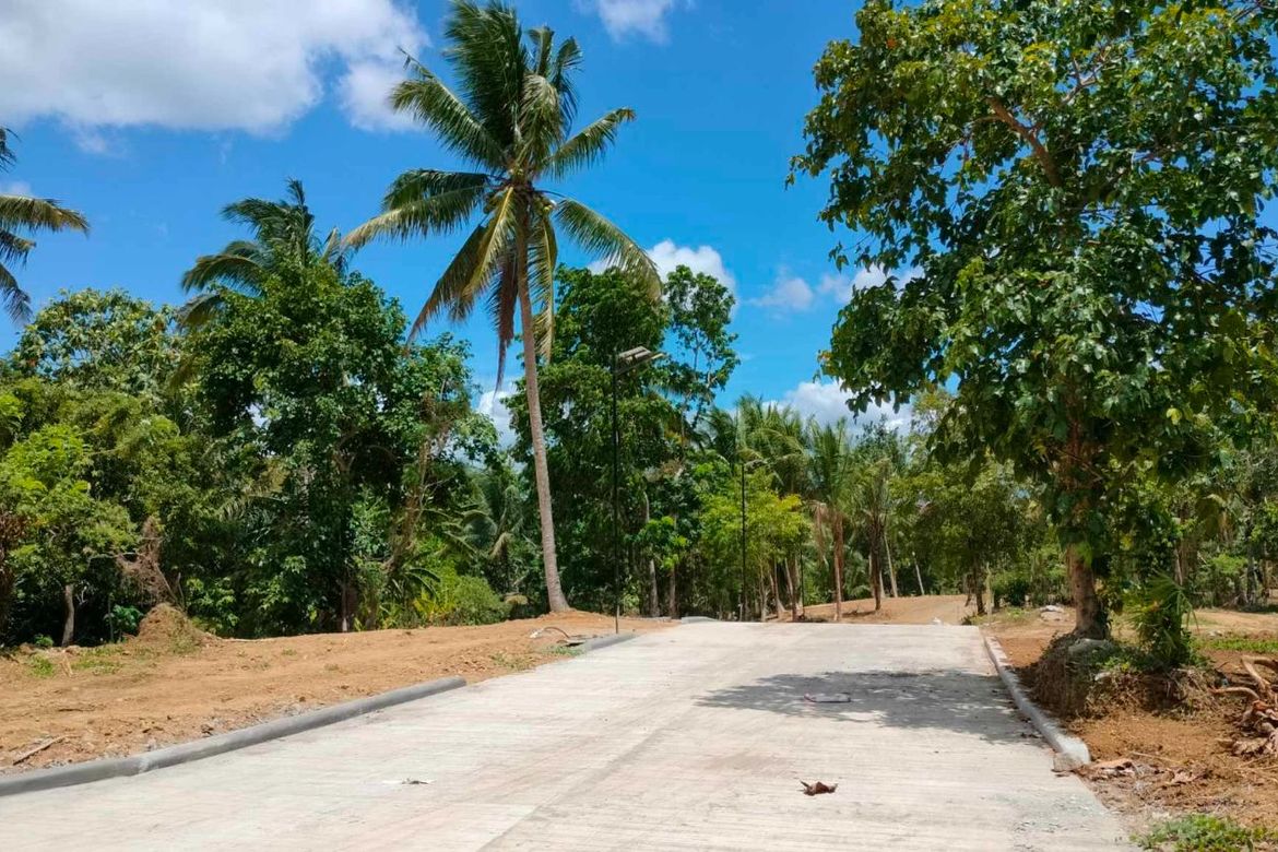 Land for Sale in Paliparan, Laurel, Batangas – photo 7