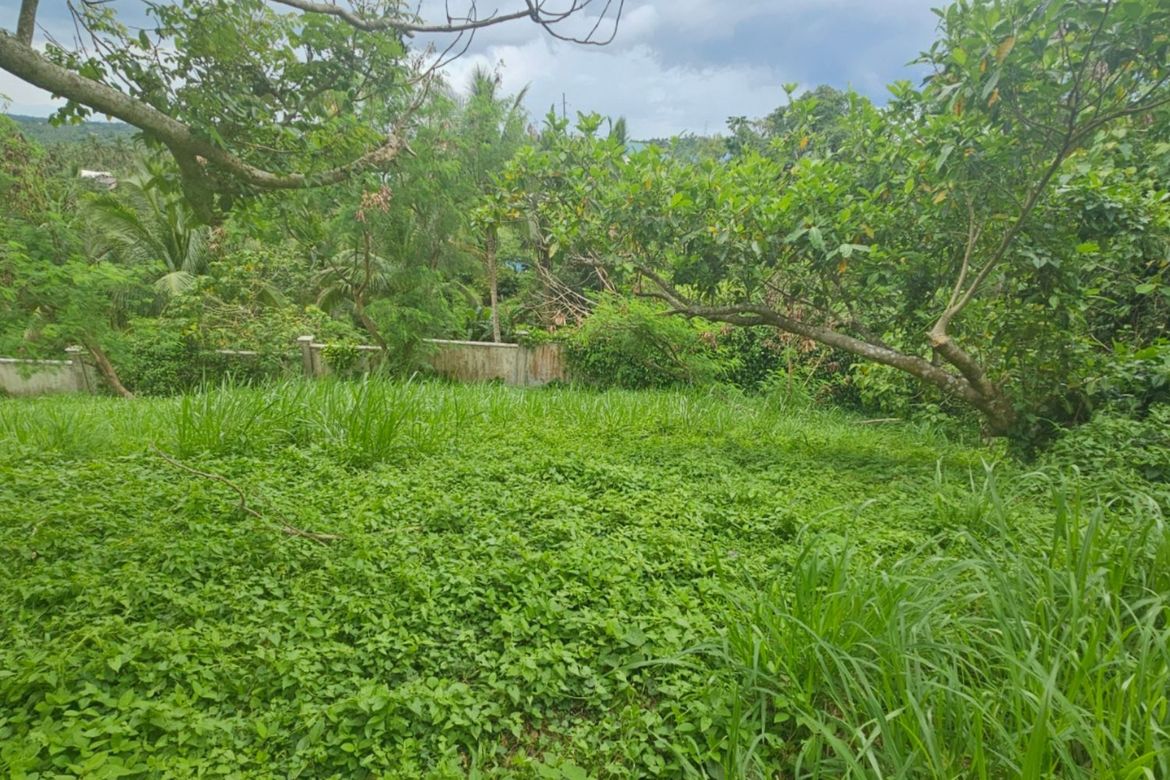 Land for Sale in Paliparan, Laurel, Batangas – photo 4