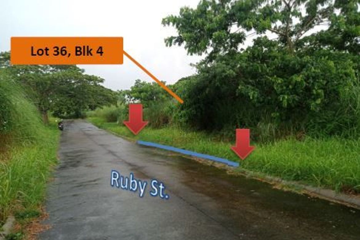 Land for Sale in Pallocan Kanluran, Batangas City, Batangas
