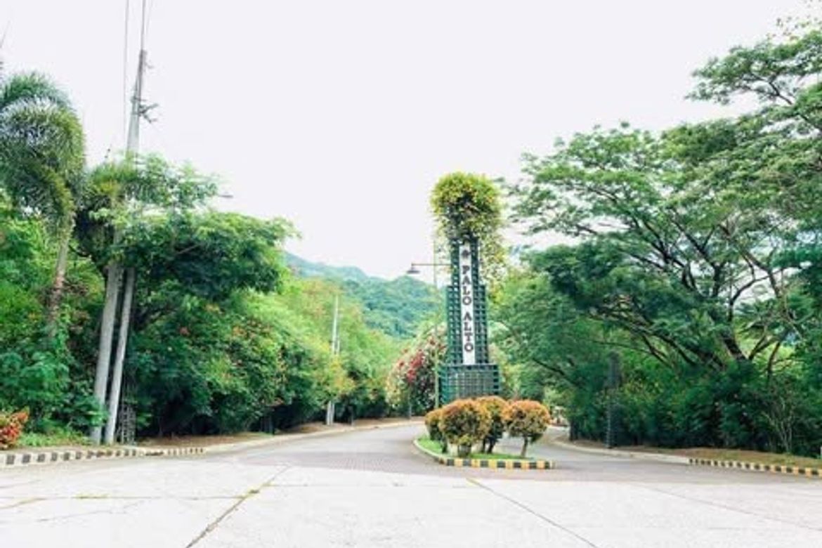 Land for Sale in Palo-Alto, Calamba, Laguna – photo 8