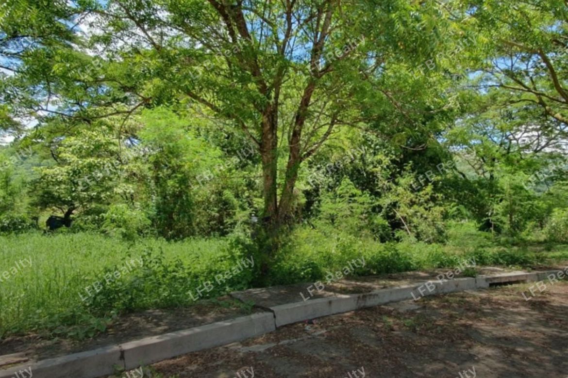 Land for Sale in Palo Alto Leisure and Residential Estates, Tandang Kutyo, Tanay, Rizal
