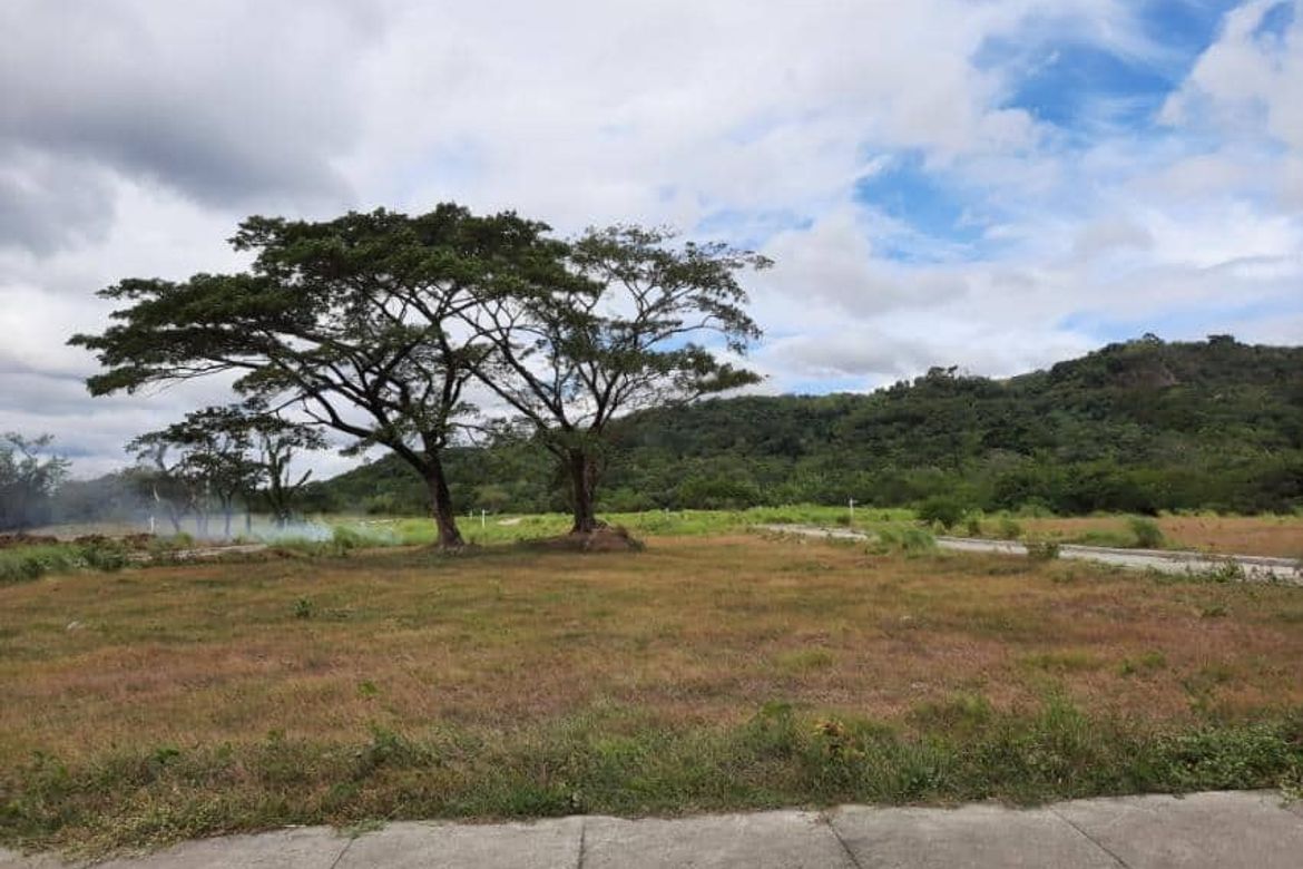Land for Sale in Palo Alto Leisure and Residential Estates, Tandang Kutyo, Tanay, Rizal