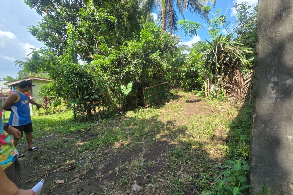 Land for Sale in Palocpoc II, Mendez, Cavite – photo 4