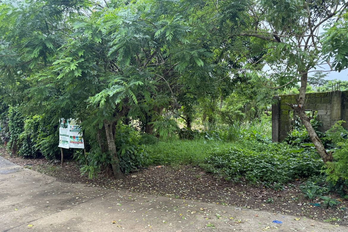 Land for Sale in Palocpoc II, Mendez, Cavite
