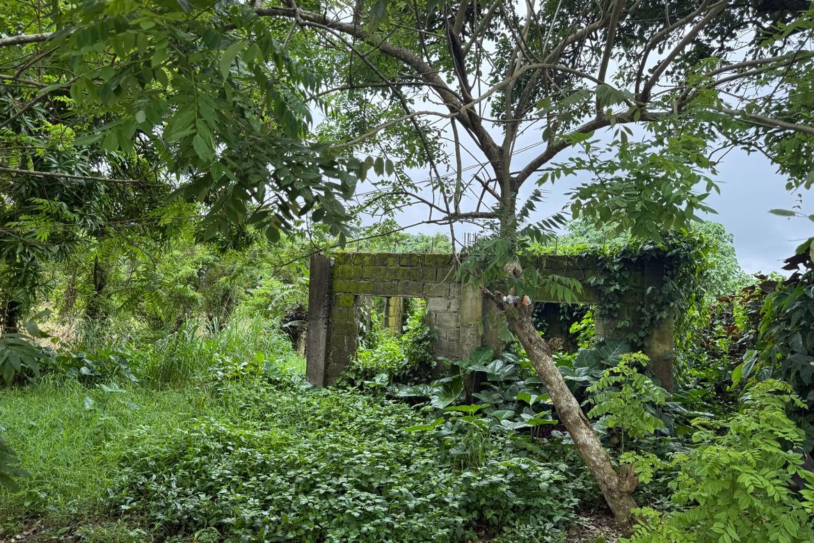 Land for Sale in Palocpoc II, Mendez, Cavite – photo 6