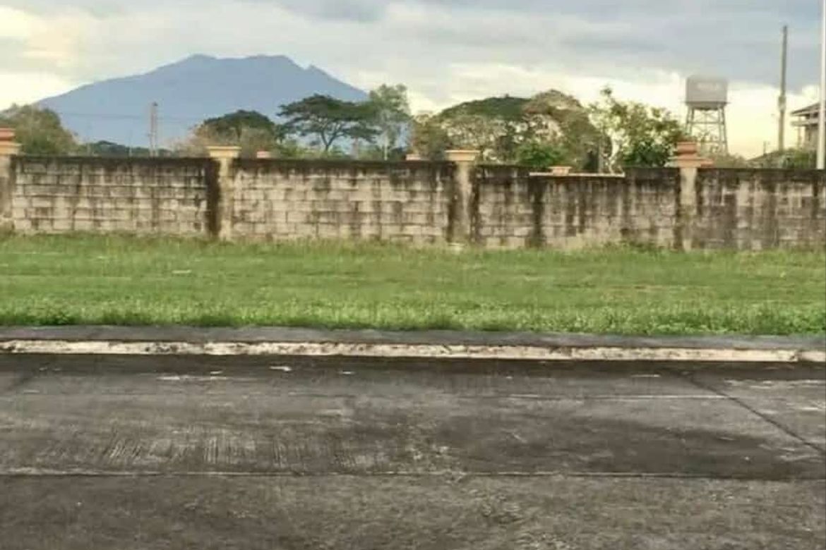 Land for Sale in Paludpud, La Paz, Tarlac – photo 4