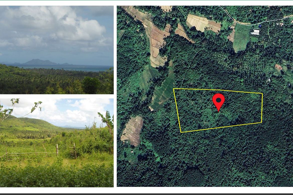 Land for Sale in Pamantolon, Taytay, Palawan