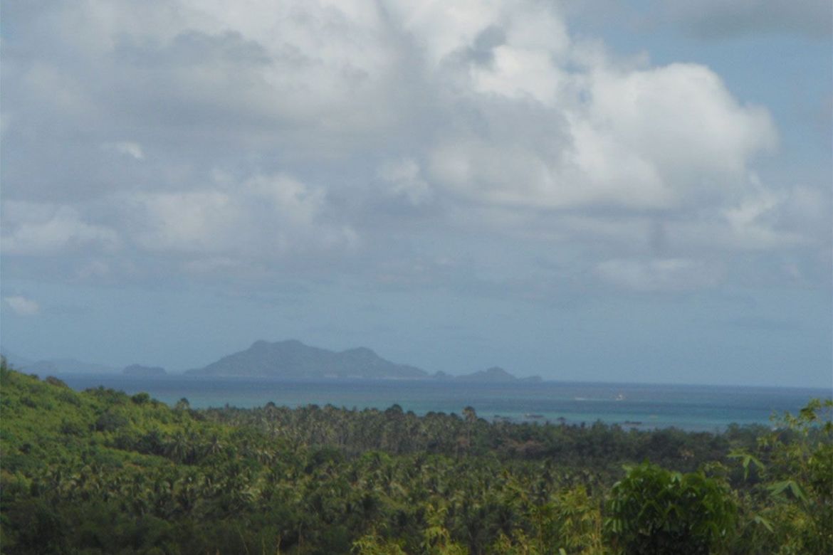 Land for Sale in Pamantolon, Taytay, Palawan – photo 2