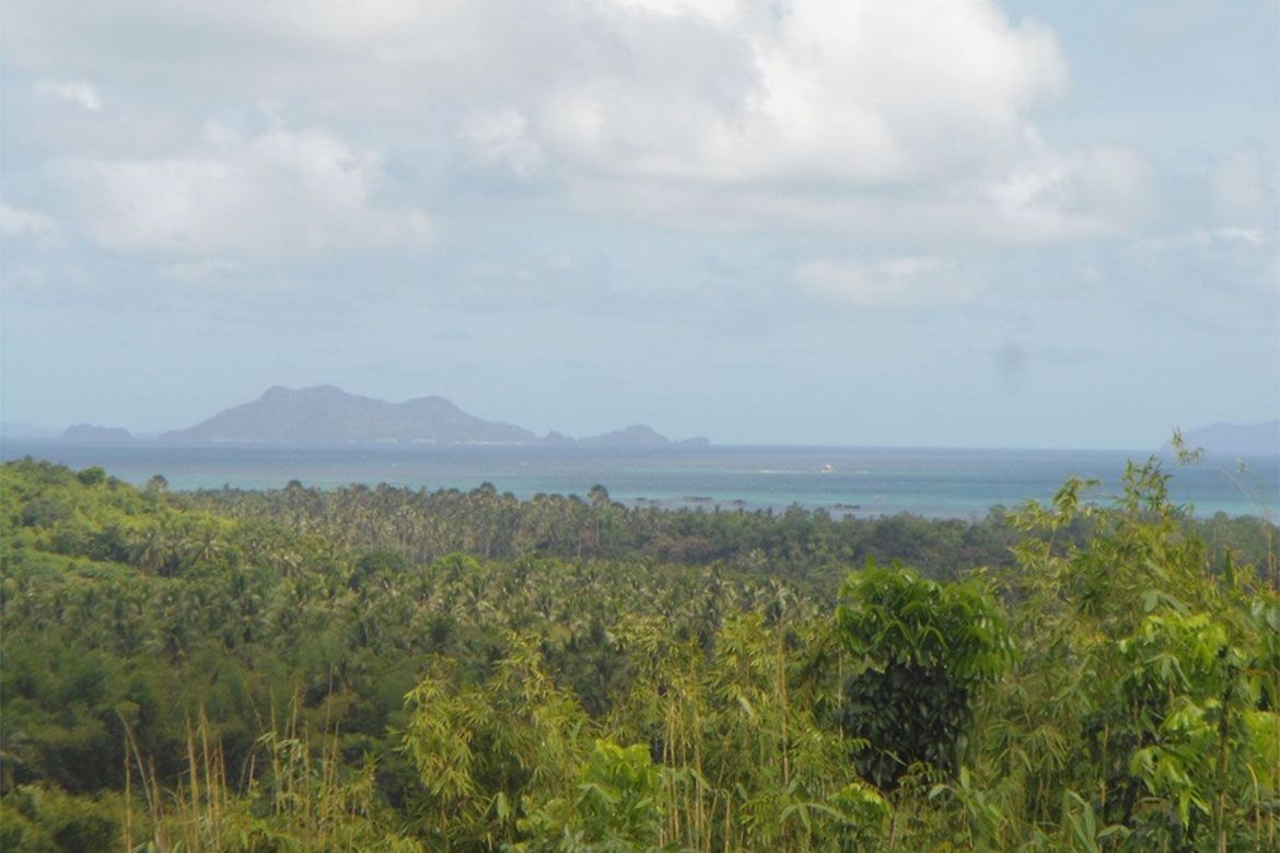 Land for Sale in Pamantolon, Taytay, Palawan – photo 6