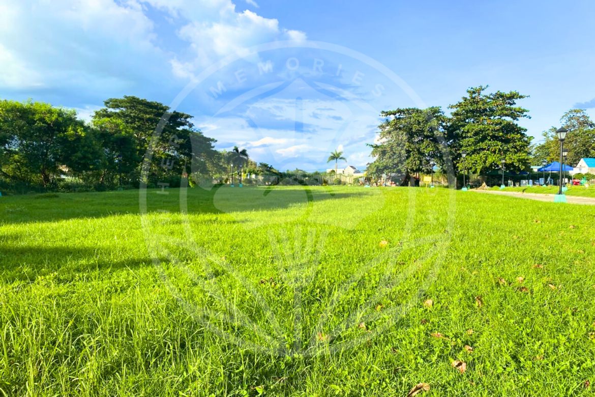 Land for Sale in Pambuan, Gapan, Nueva Ecija – photo 2